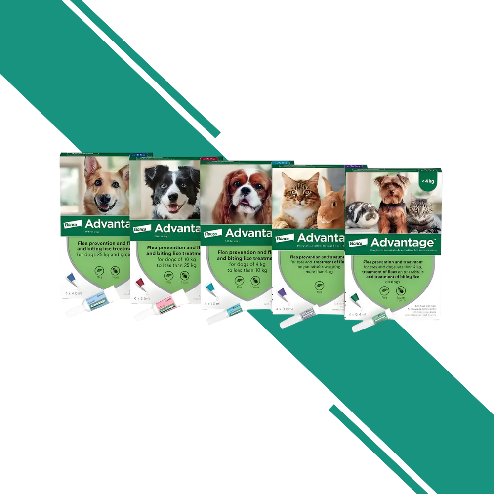 Advantage Spot-On Solution – Flea and Lice Treatment